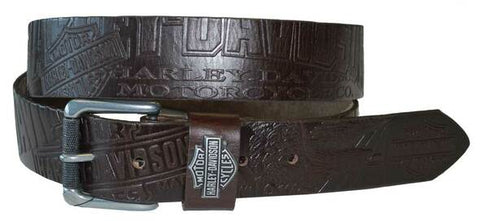 Harley-Davidson® Men's Scorching Belt